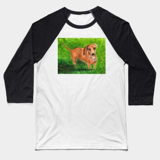 Cute Dachshund Sausage Dog Baseball T-Shirt